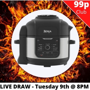 Ninja Foodi Mini 6-in-1 Multi-Cooker Competition