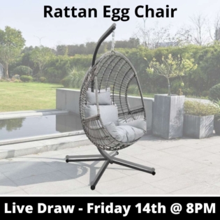 Rattan Egg Chair Competition