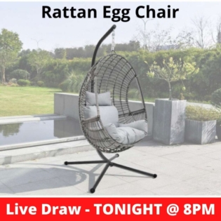 Rattan Egg Chair Competition