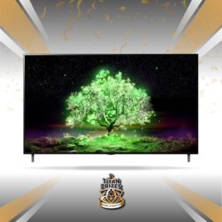 LG 48 Inch OLED TV